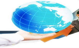 圣世信通上線8manage信息化管控項目全流程，賦能企業信息技術咨詢服務